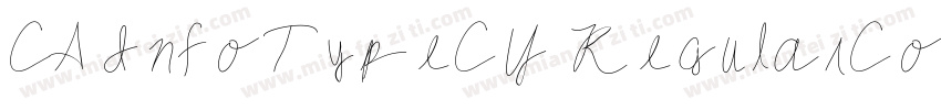 CA InfoTypeCY RegularCon Regular字体转换